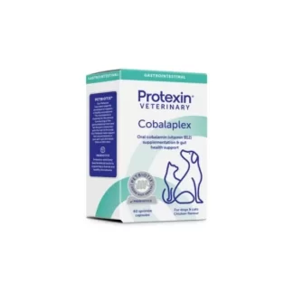 Papildai šunims ir katėms Protexin Cobalaplex padeda palaikyti kobalamino ir foliatų lygį kraujo serume, N60