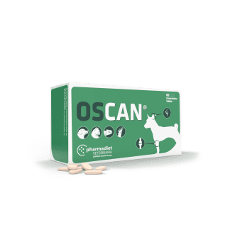 Papildas šunims ir katėms Oscan - esant kalcio trūkumui, N60