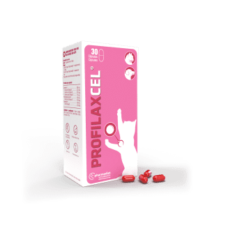 Papildai šunims ir katėms Profilaxcel - vystantis navikams, kurie priklauso nuo hormonų, N30